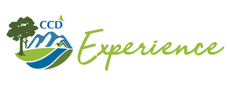 experience-logo